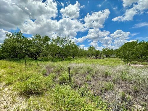 0 Calichera Rd, Edinburg, TX, 78541 | Card Image
