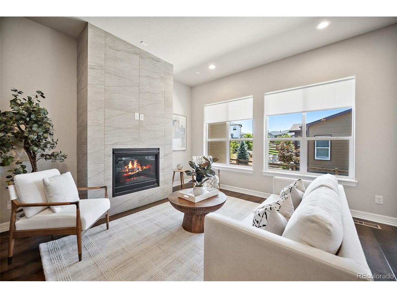 Residential in Castle Rock 5