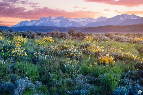 4-1115 E Hoyt Peak Ranch Rd, Marion, UT, 84036 | Card Image