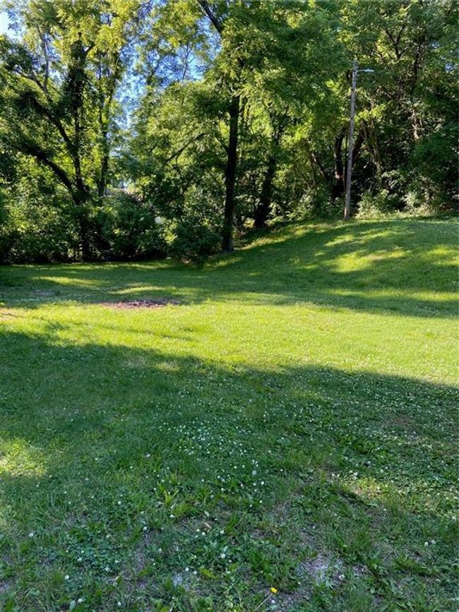 View of yard | Image 15