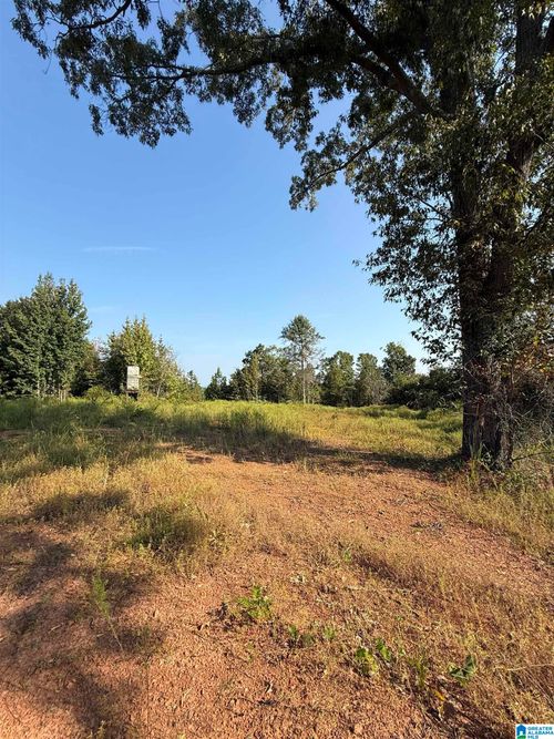 4-004 Serenity Lane, ALPINE, AL, 35014 | Card Image