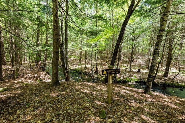 0 Montgomery Road, Home with 0 bedrooms, 0 bathrooms and null parking in Salisbury NH | Image 13