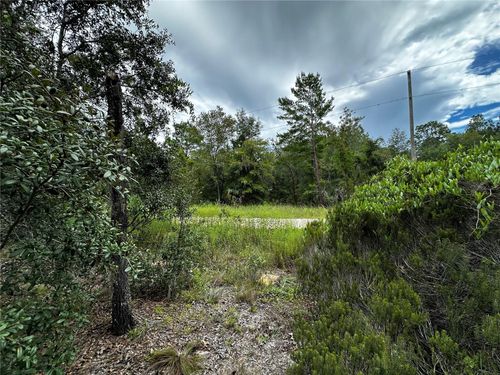 0000 Ne 149th Ct, Williston, FL, 32696 | Card Image