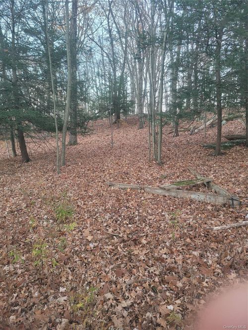 35 Shenandoah Ct, Carmel, NY, 10512-3445 | Card Image