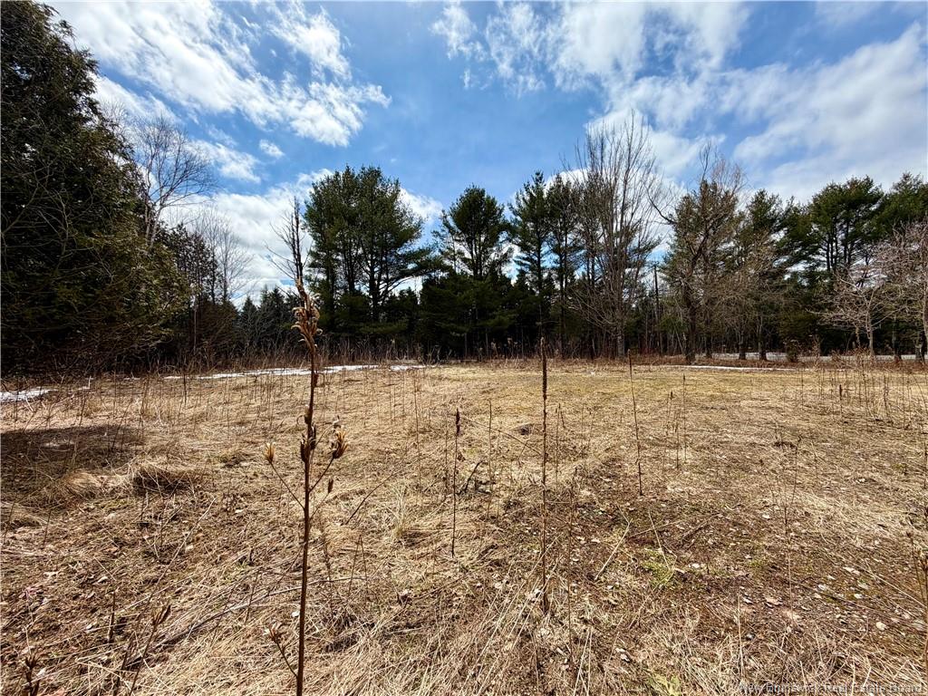 Land in Beechwood 3