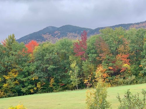 42 Close Rd, Dublin, NH, 03444-8503 | Card Image