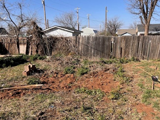 garden plot | Image 31
