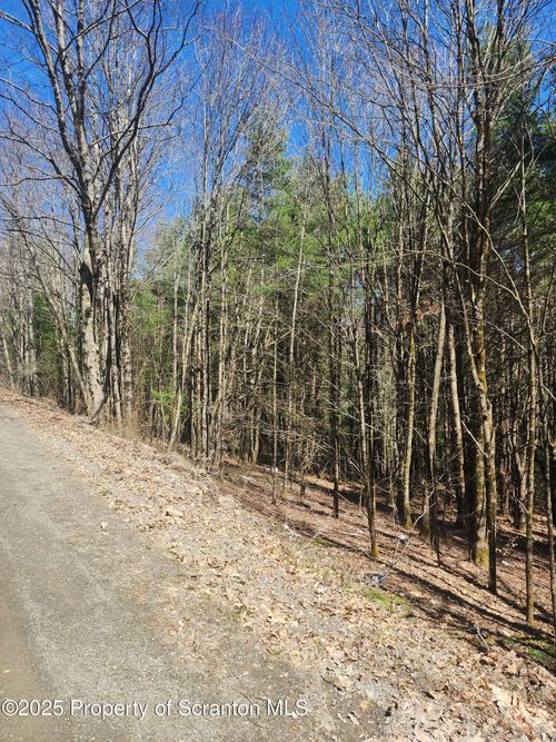 234 Tarbell Hill Rd, Deposit, NY, 13754 | Card Image