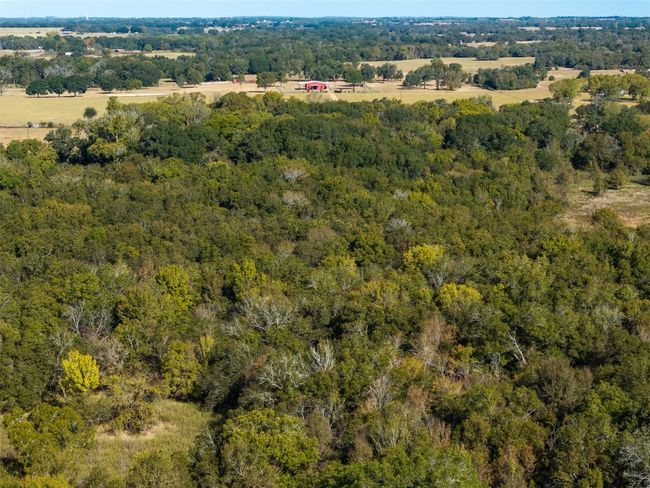 3211 Fm 3403, Home with 0 bedrooms, 0 bathrooms and null parking in Lincoln TX | Image 15
