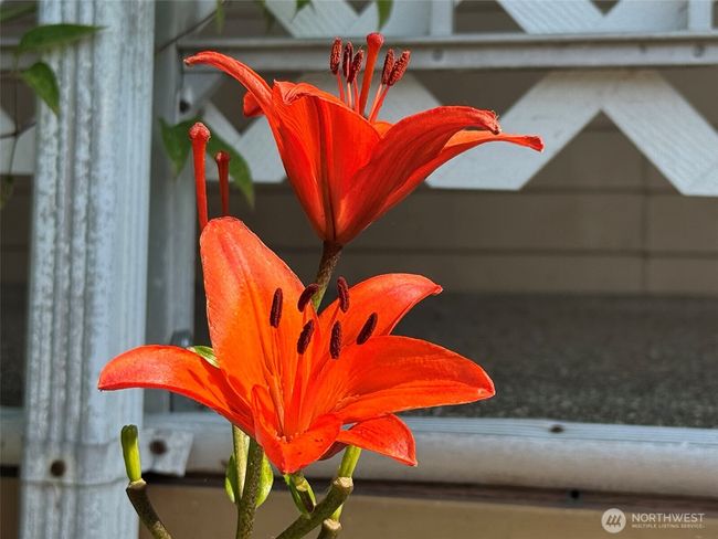 SPC-116 - 610 W Spruce St, House other with 2 bedrooms, 2 bathrooms and null parking in Sequim WA | Image 8