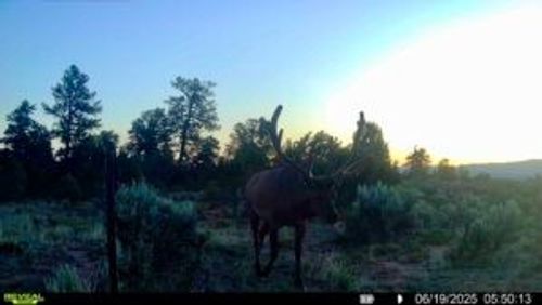 NSN Forest Rd, Tierra Amarilla, NM, 87575 | Card Image