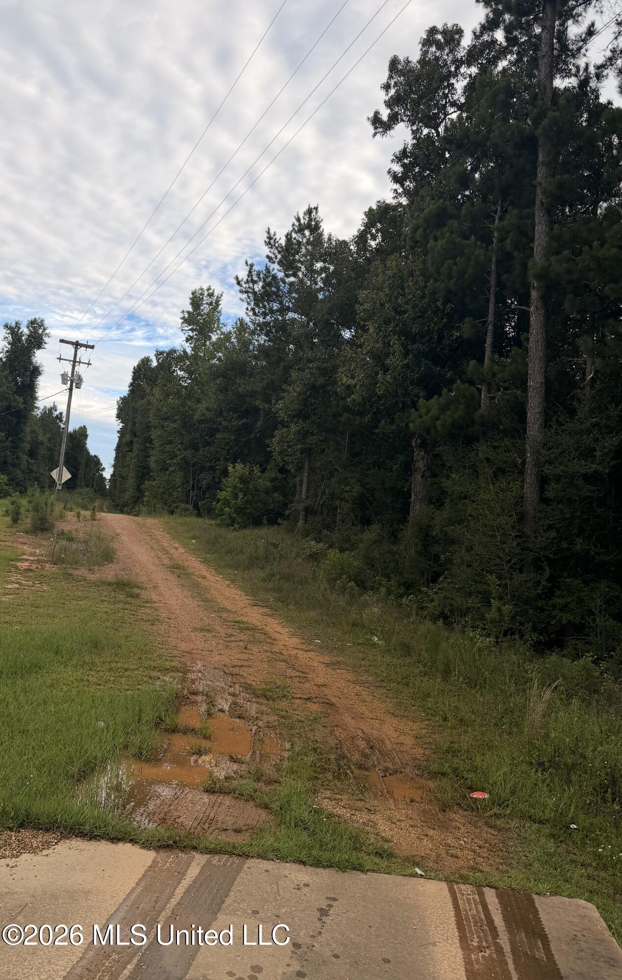 Land in McComb 5