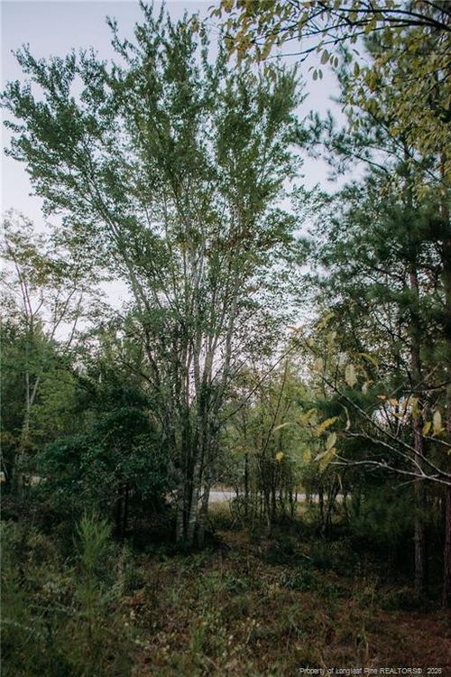 Lot 3-Tbd Nighthawk Loop, Aberdeen, NC, 28315 | Card Image