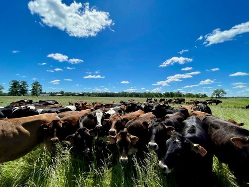 TBD 5th Ave, CAMP DOUGLAS, WI, 54618 | Card Image