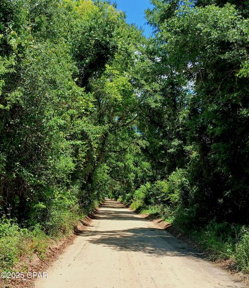 TBD Wolf Pond Rd, Bascom, FL, 32423 | Card Image