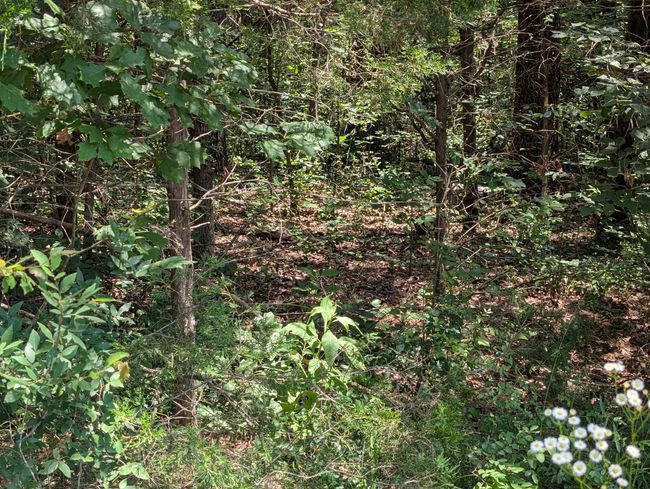 PXL_20250610_180445020 | Image 4