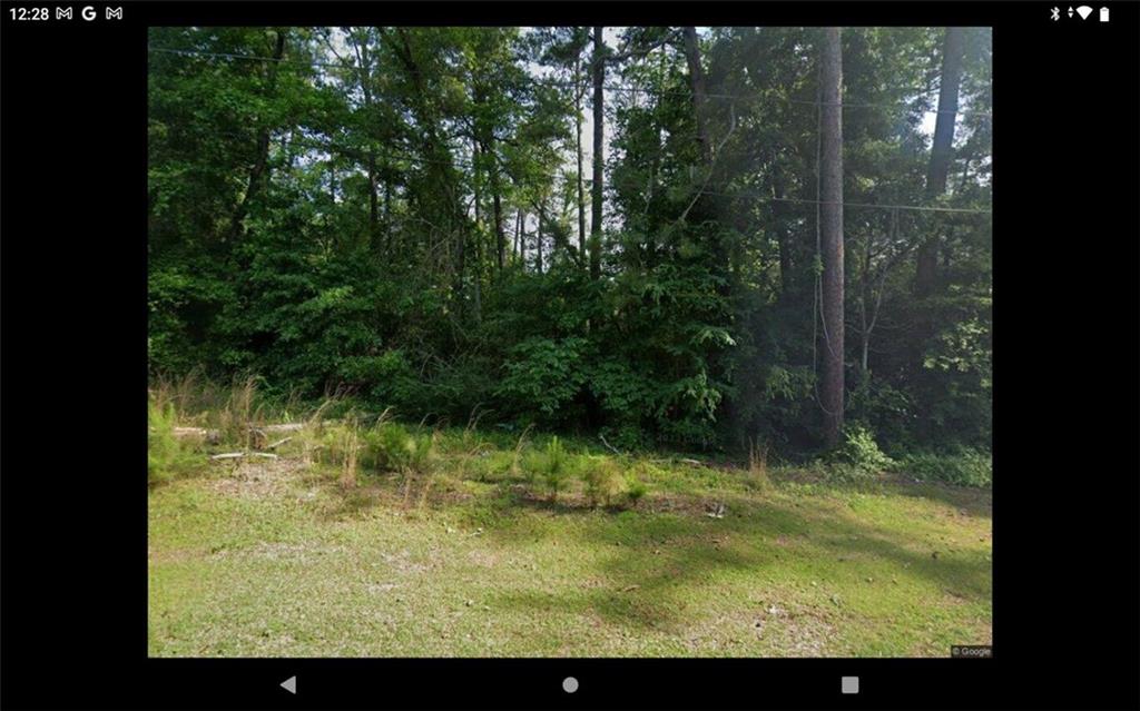 Land in Macon