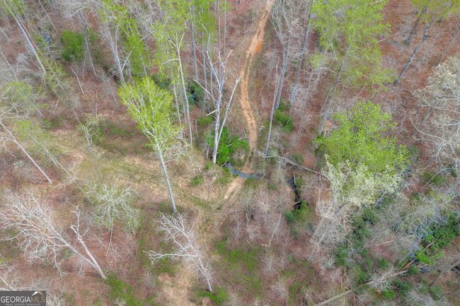 0 Carey Ford Rd, Home with 0 bedrooms, 0 bathrooms and null parking in Danielsville GA | Image 29