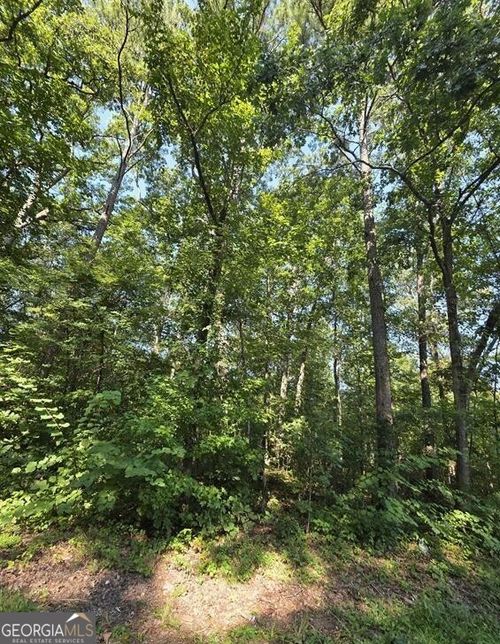 LOT 34-37 County Road 315, Leesburg, AL, 35983 | Card Image