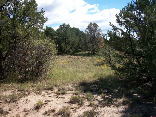 13989 Road 35.6, Home with 0 bedrooms, 0 bathrooms and null parking in Mancos CO | Image 12