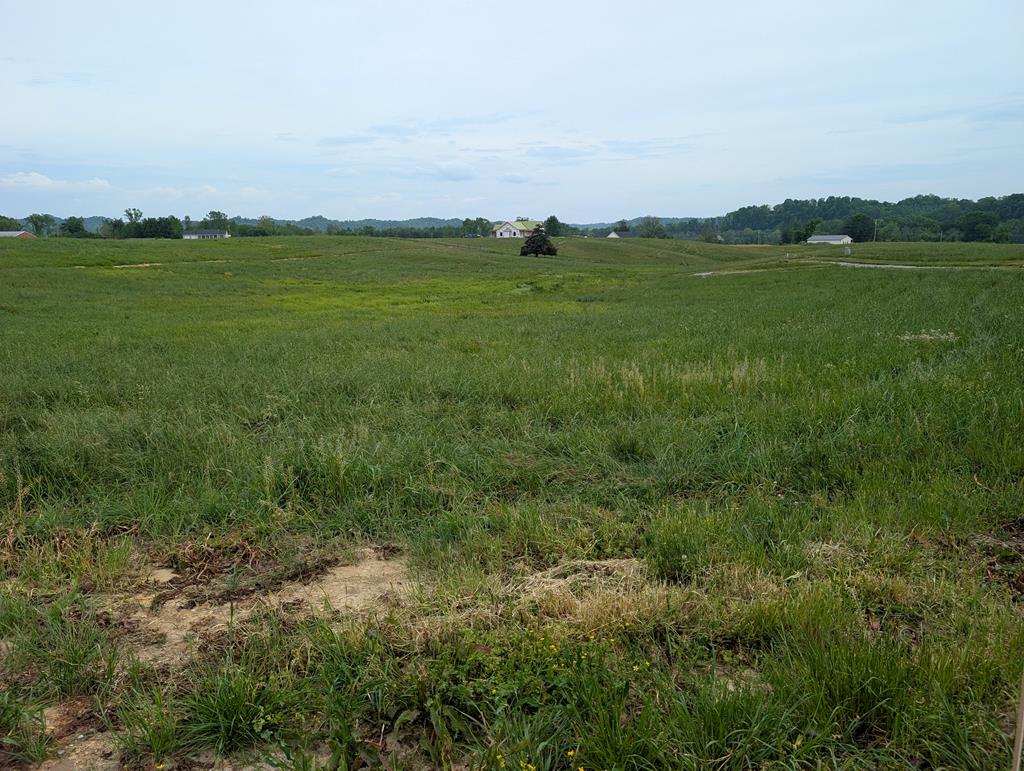Land in Burkesville