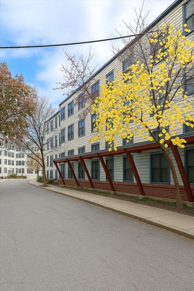 APT-3D - 432 Norfolk St, Condo with 1 bedrooms, 1 bathrooms and null parking in Somerville MA | Image 11