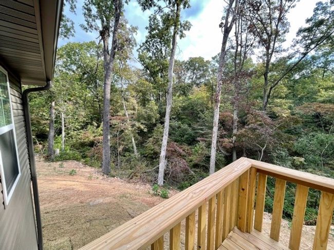18 Dinsmoore Ln, House other with 3 bedrooms, 2 bathrooms and null parking in Bella Vista AR | Image 17