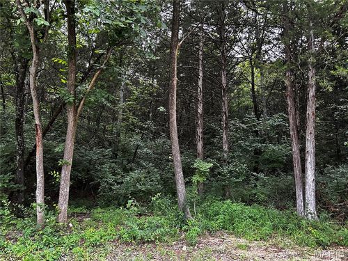 237 Incline Village (Red Cedar), Foristell, MO, 63348 | Card Image