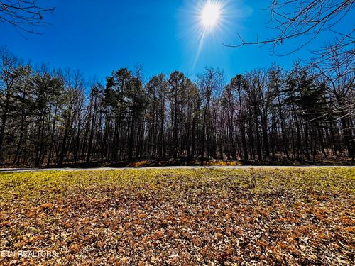 0 Bald Knob Rd, Spencer, TN, 38585 | Card Image