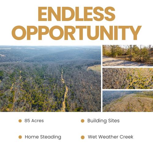 000 Burmingham Rd, Forsyth, MO, 65653 | Card Image