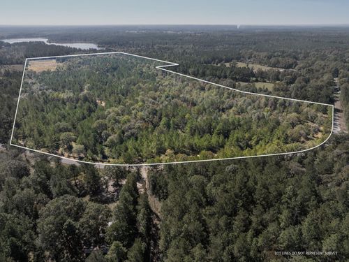 91 Acres Burge And Reyer, Poplarville, MS, 39470 | Card Image
