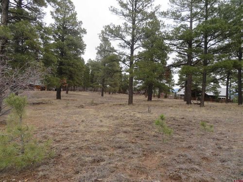 601 Oxbow Circle, Pagosa Springs, CO, 81147 | Card Image
