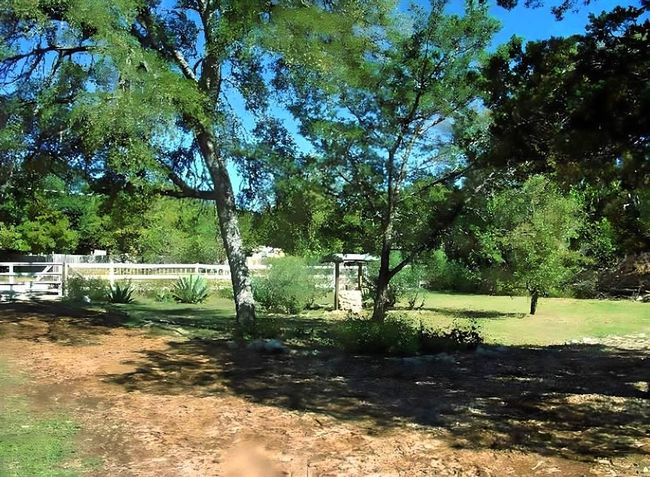 Front yard of Cottage Property (fenced) | Image 28
