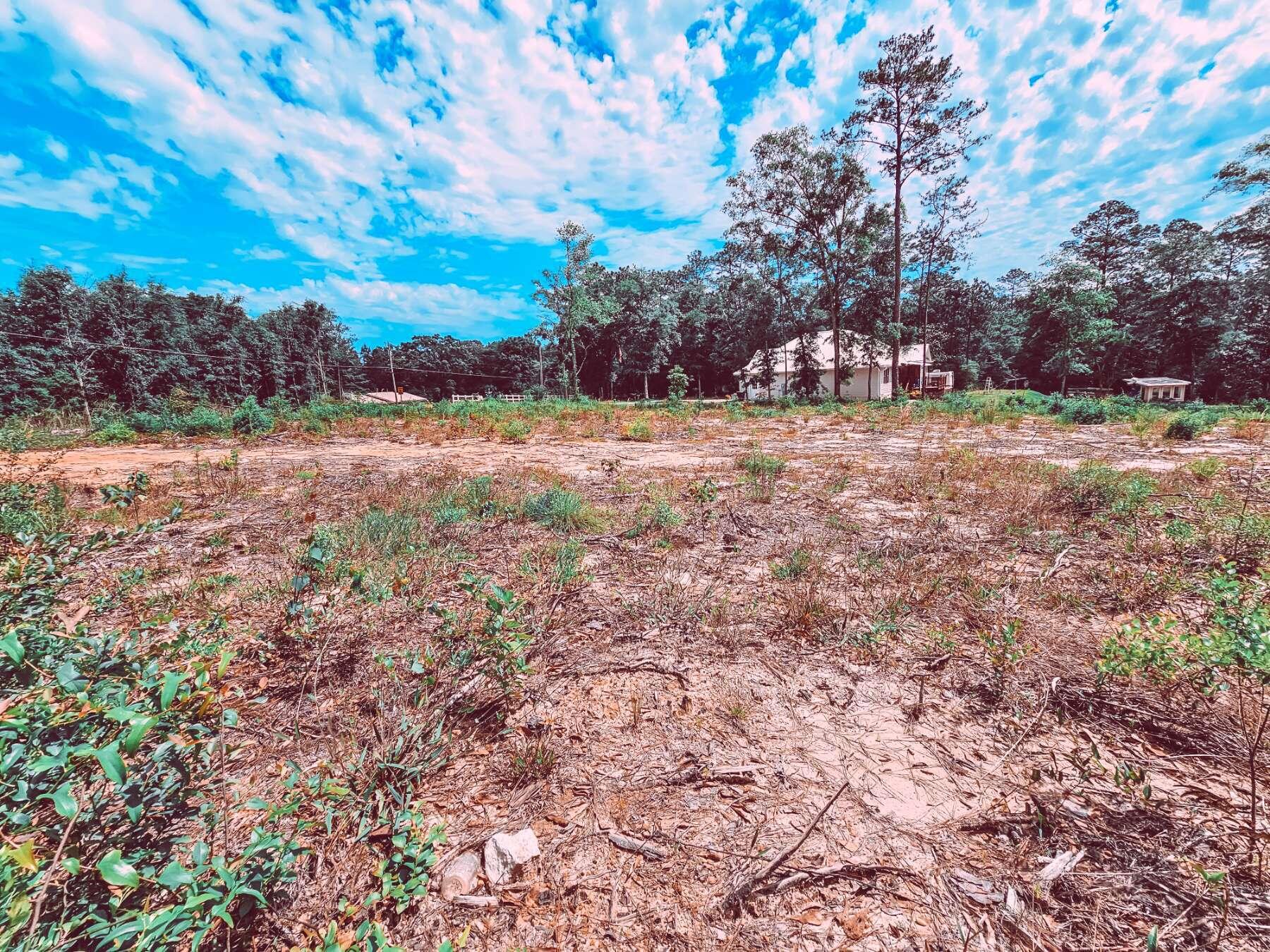 Land in DeFuniak Springs 4