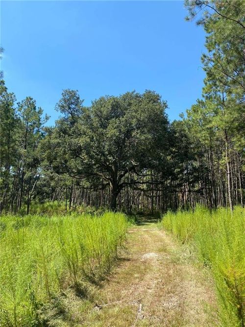 29424 George White Rd, Holden, LA, 70744-6302 | Card Image