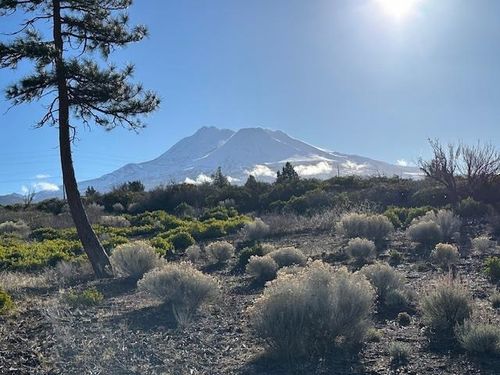 Blk 1 Lot 8 Jackson Ranch Road, Weed, CA, 96094 | Card Image