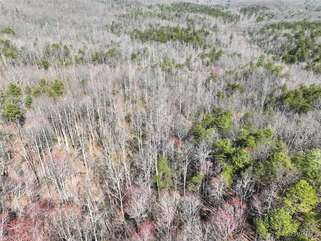 41.18 Acres (Off Of) Pole Bridge Rd, Home with 0 bedrooms, 0 bathrooms and null parking in Stuart VA | Image 16