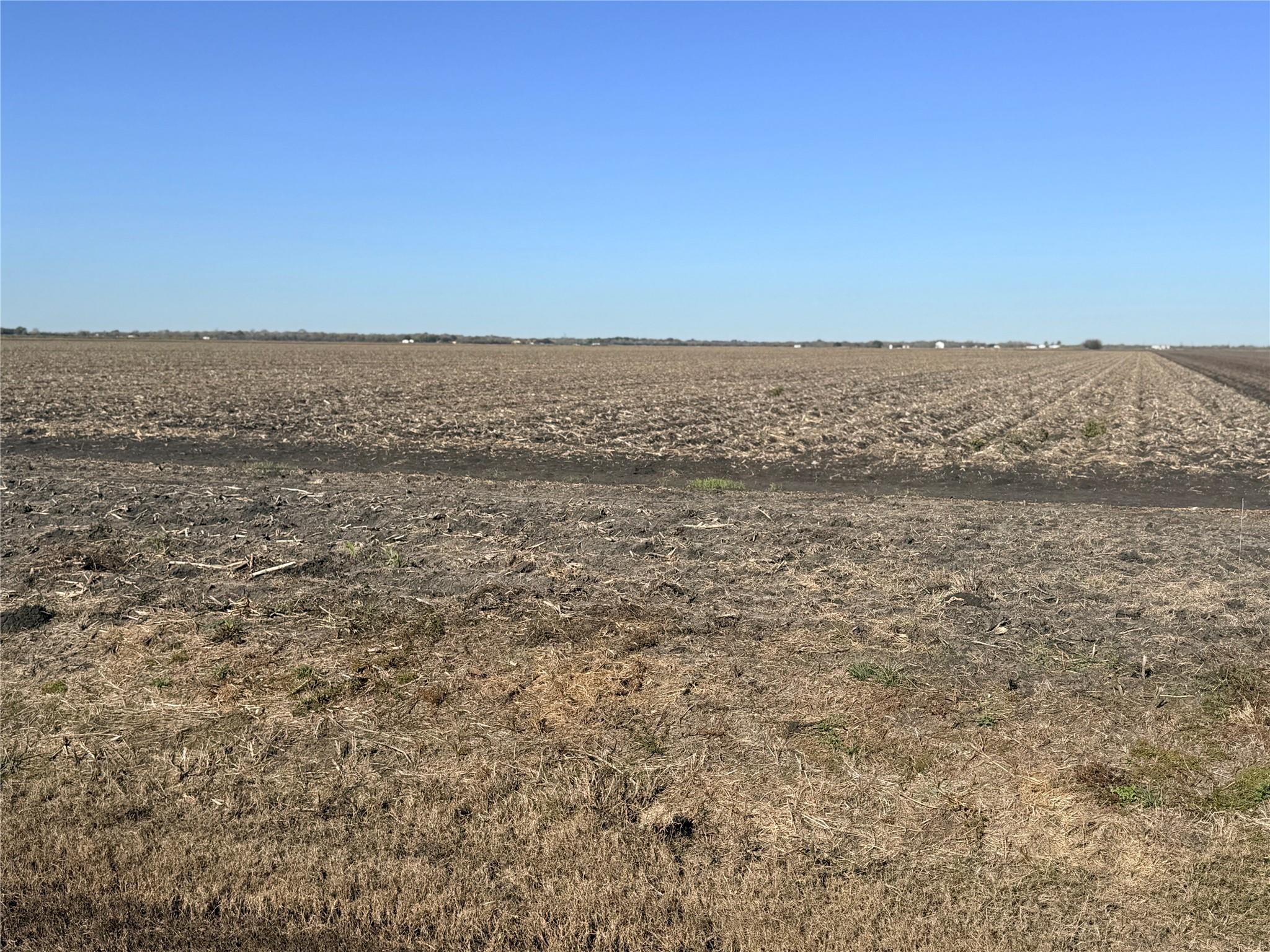 Farm in Kendleton 5