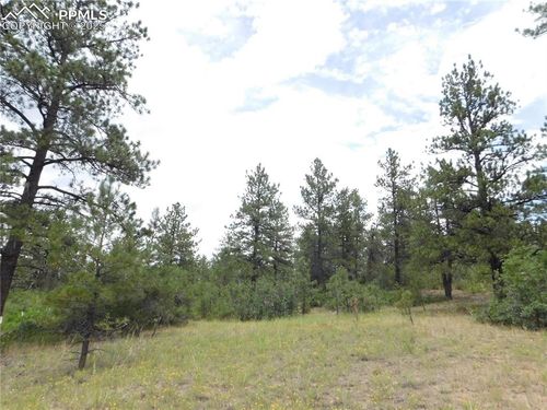 R0173956 Pasque Ct, Larkspur, CO, 80118 | Card Image