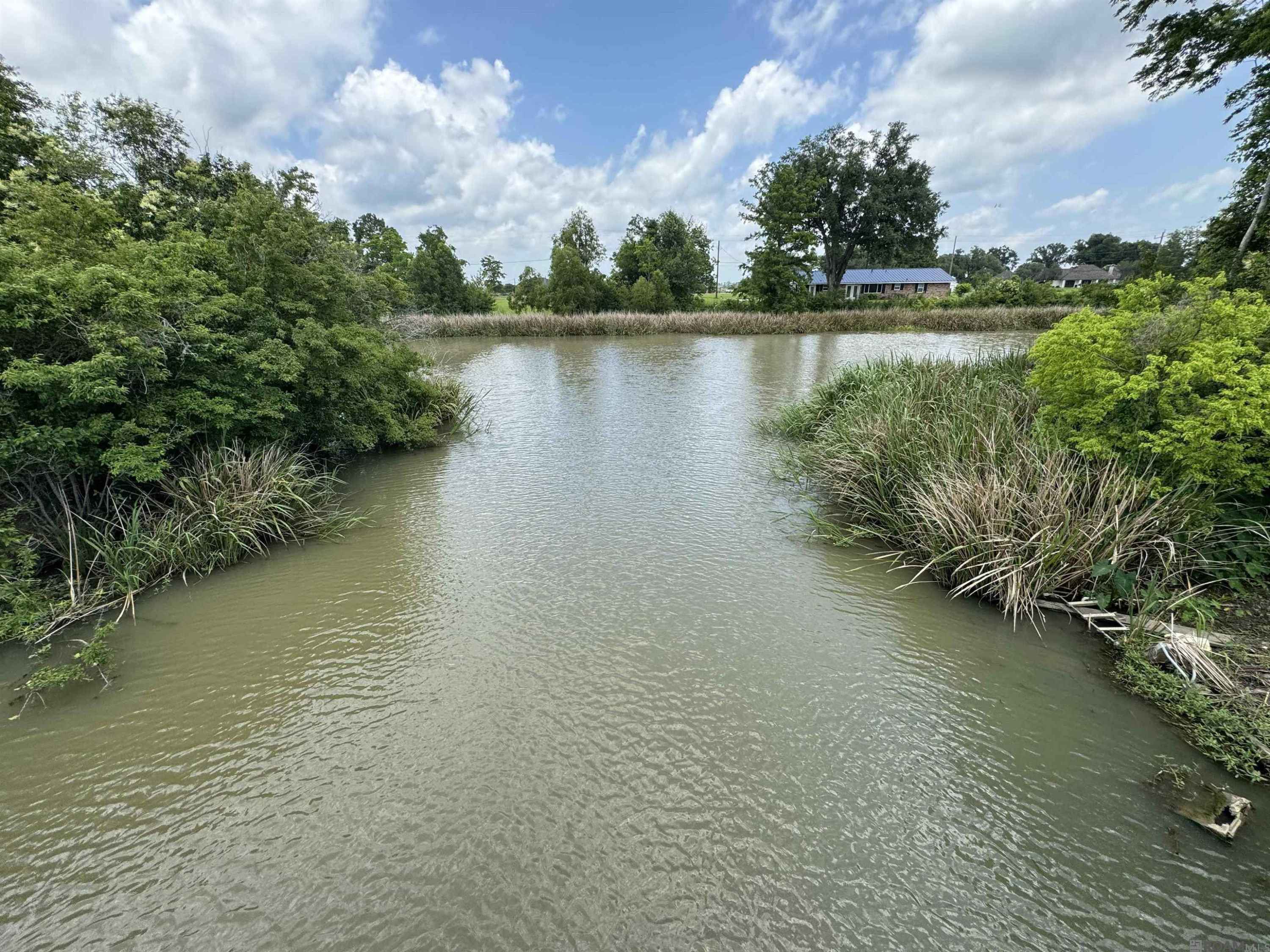 Land in Raceland 4