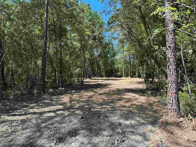 23547 Heritage Acres Ln, Home with 0 bedrooms, 0 bathrooms and null parking in Robert LA | Image 15