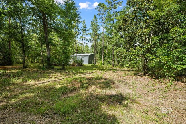 Yard | Image 16