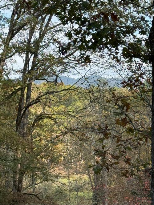 270 Cb Newton Road, Marble, NC, 28905 | Card Image
