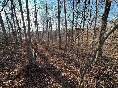 13 Wagon Creek Loop, Creal Springs, IL, 62922 | Card Image