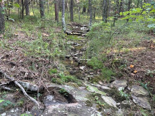 00 Indian Trl, Smithville, OK, 74957 | Card Image