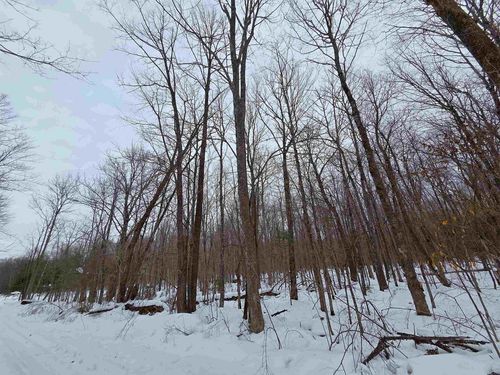 119XX Olson Road, Lenroot, WI, 54843 | Card Image