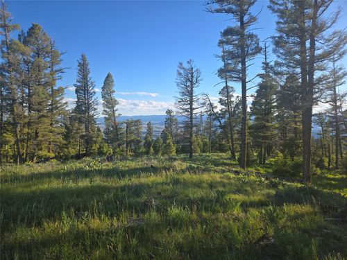 1 Big Sky Ridge Ln, Drummond, MT, 59832 | Card Image