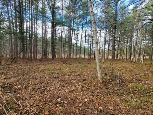 LOT 10 Charles Ct, Hazelhurst, WI, 54531 | Card Image