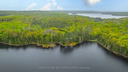 2411 Soyers Lake Rd, Haliburton, ON, K0M1S0 | Card Image