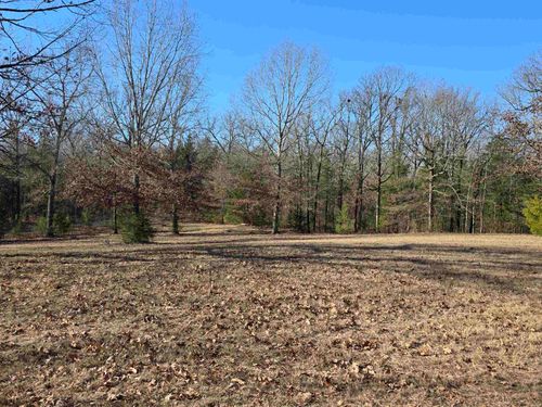 1191 County Road 3333, Omaha, TX, 75571-3157 | Card Image